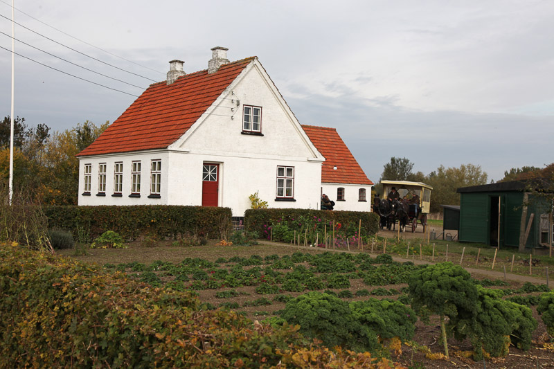 Husmandssted