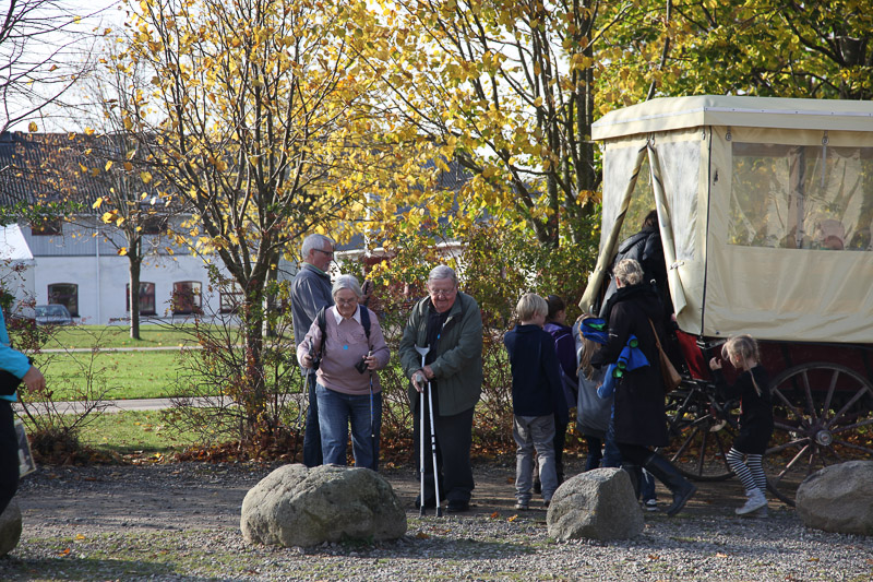 Hestevognskørsel