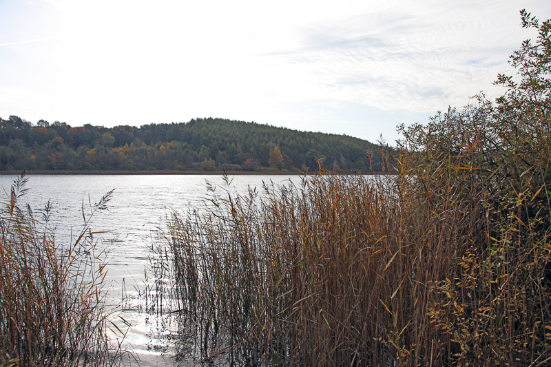 Maglesø ved Igelsø