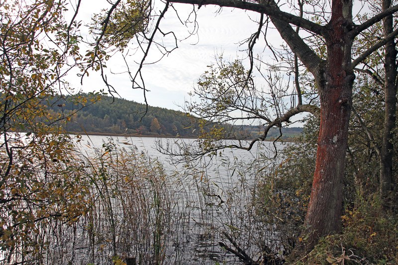 Maglesø ved Igelsø