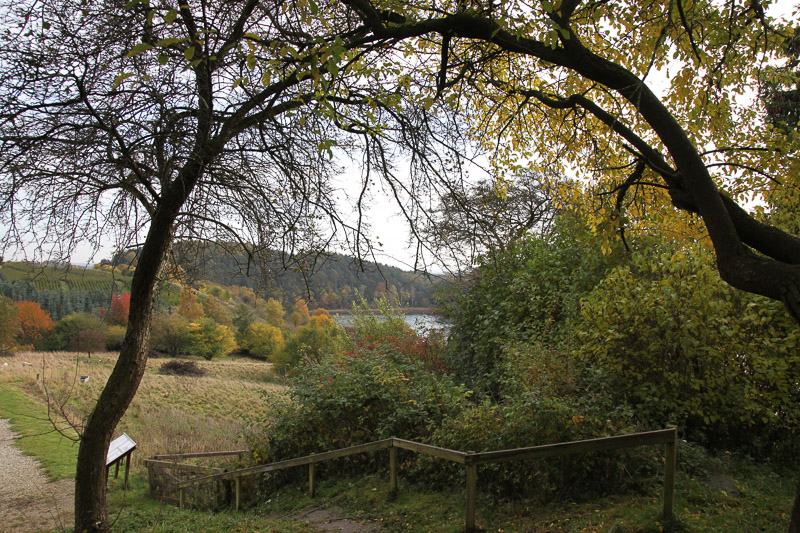 Maglesø ved Igelsø